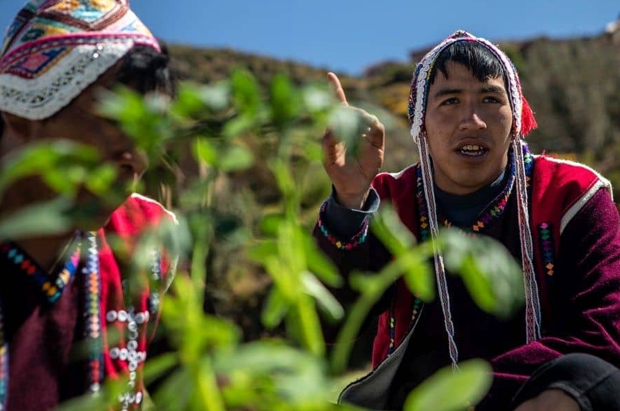 POTATO电脑版能设置语音消息自动降噪吗