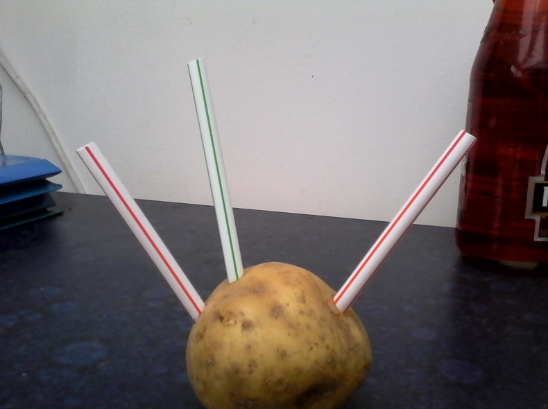 Potato下载Linux版中文设置