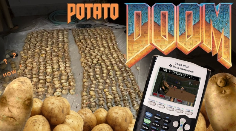 Potato下载Mac版无法打开