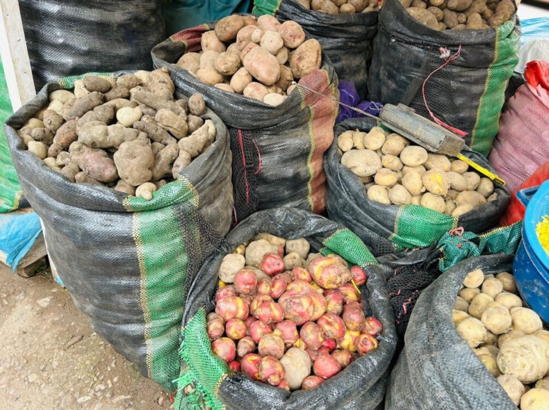 Potato中文版如何备份聊天记录