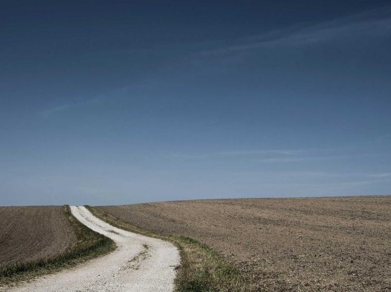 potato 钱包备份助记词教程