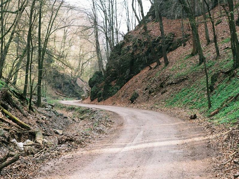 potato 频道定时发布设置