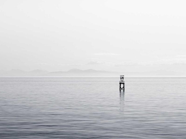 potato 机器人自动回复模板