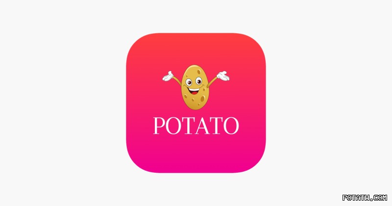 Potato官方API接口：开发者接入文档与使用教程